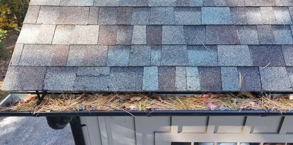 Debris-filled gutter creating standing water conditions in Richmond, VA