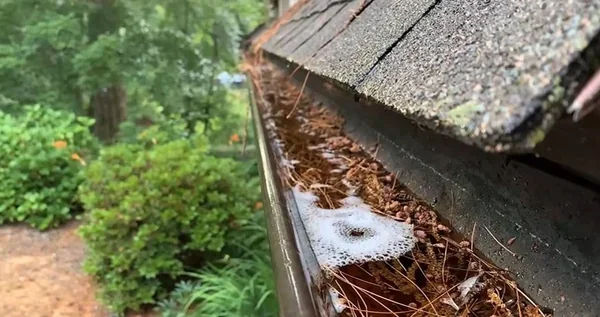 Standing water and debris in a clogged gutter, a mosquito breeding risk in Richmond, VA