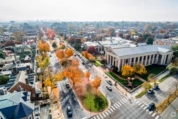 Tree-lined street in the Museum District, Richmond, VA